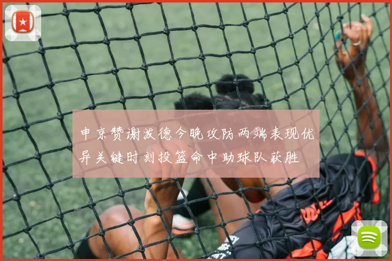 申京赞谢泼德今晚攻防两端表现优异关键时刻投篮命中助球队获胜